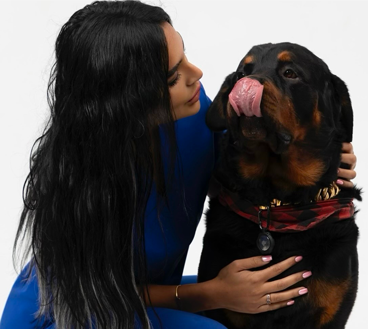 Professional dog grooming